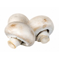 champignons_1795961655